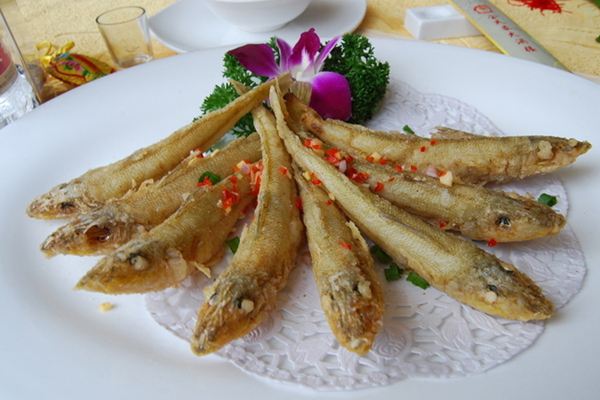 ɳ���~(y��)