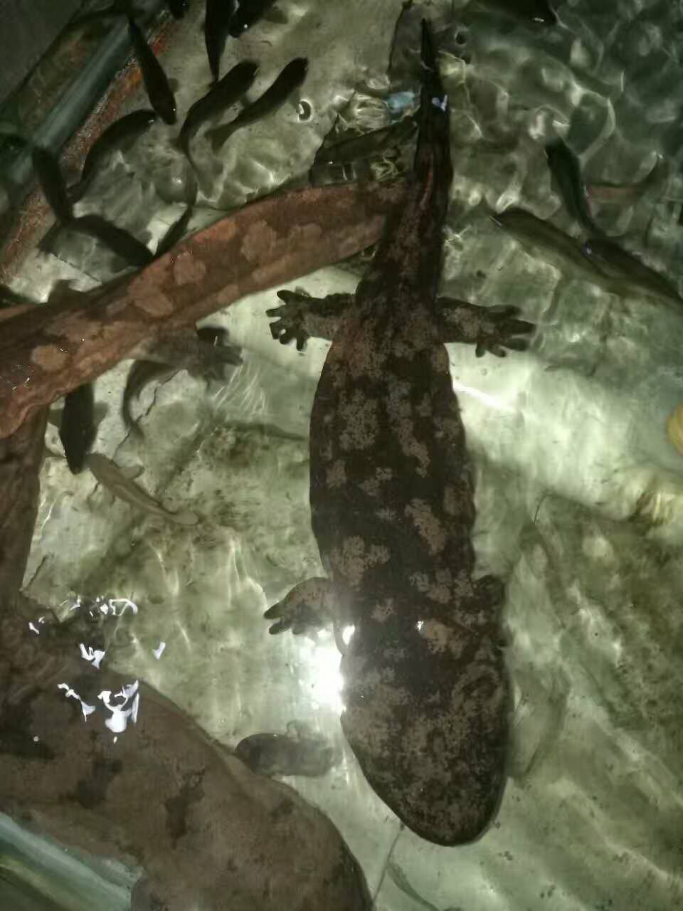 �����~(y��)